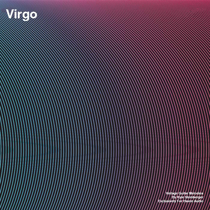 Virgo: Vintage Analog Loop Kit