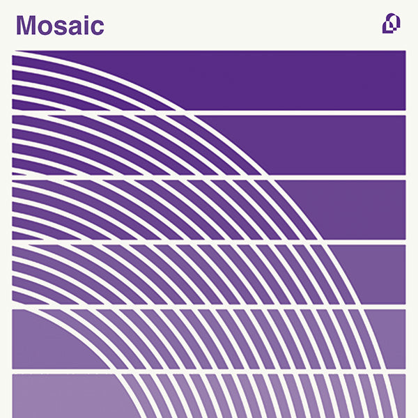 Mosaic: Guitar Loop Kit